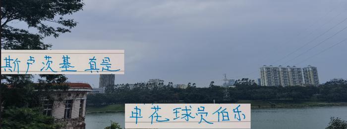 五外援时代刘诚宇都能捞出来 薛庆浩练成了国门 申花教练太帅了